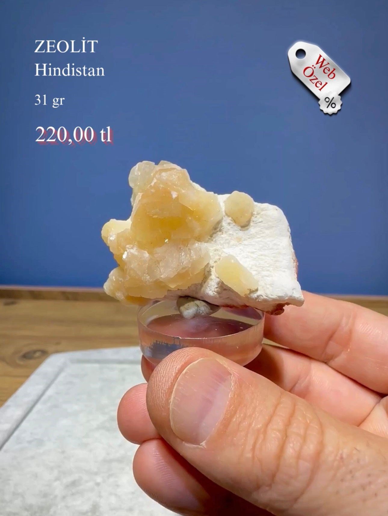 ZEOLİT 31 GR.