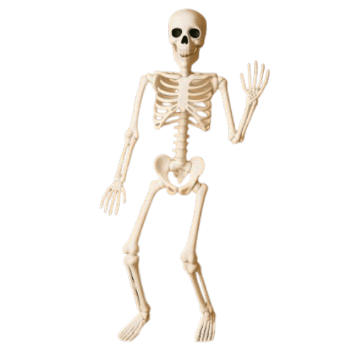 HALLOWEEN İSKELET 90 CM
