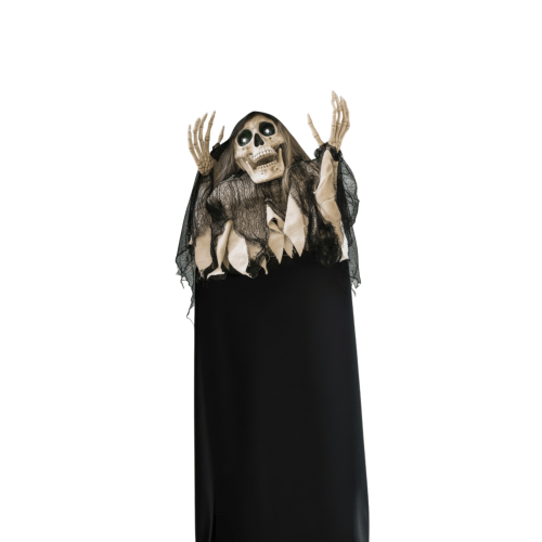 halloween-korkuluk-iskelet-hareketli-s-4-b02d.png