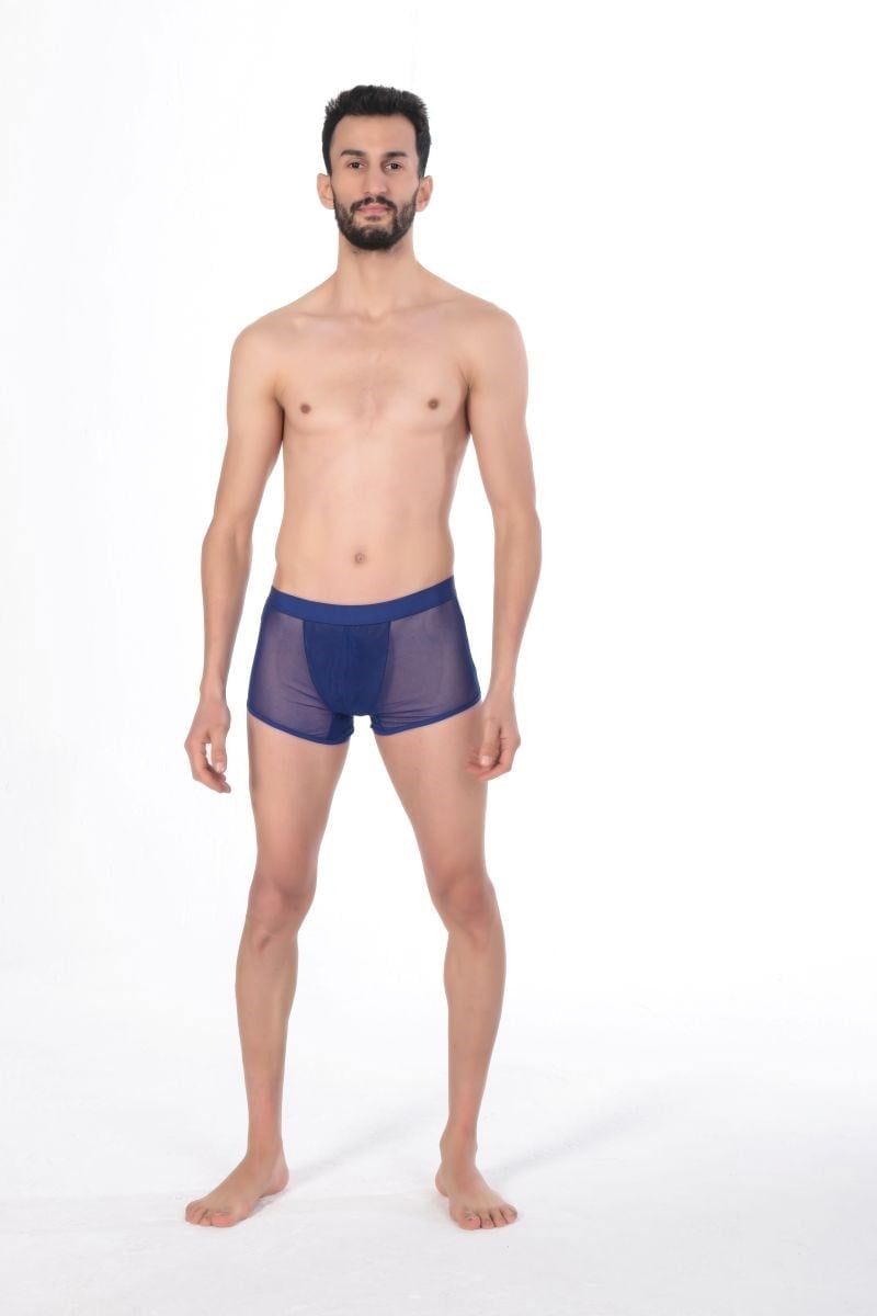 Jeu Jeu Sheer Boxer – Transparan İnce Tül Modern Erkek Boxer Saks