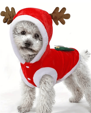 Noel Baba Geyiği Köpek Kostümü – Küçük Irk Evcil Hayvanlar İçin Polyester Kapüşonlu Çıtçıtlı Fleece Tatil Kıyafeti
