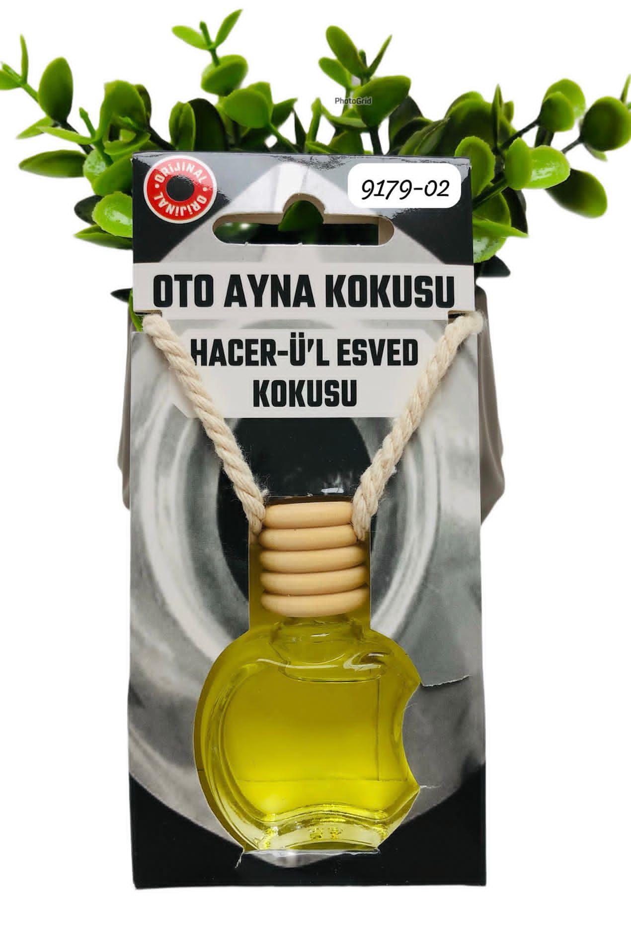 9179 Oto Ayna Kokusu