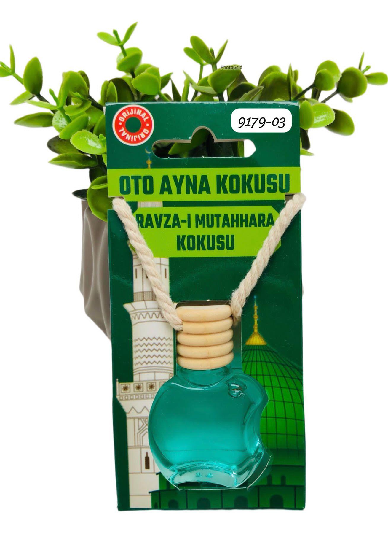 9179 Oto Ayna Kokusu