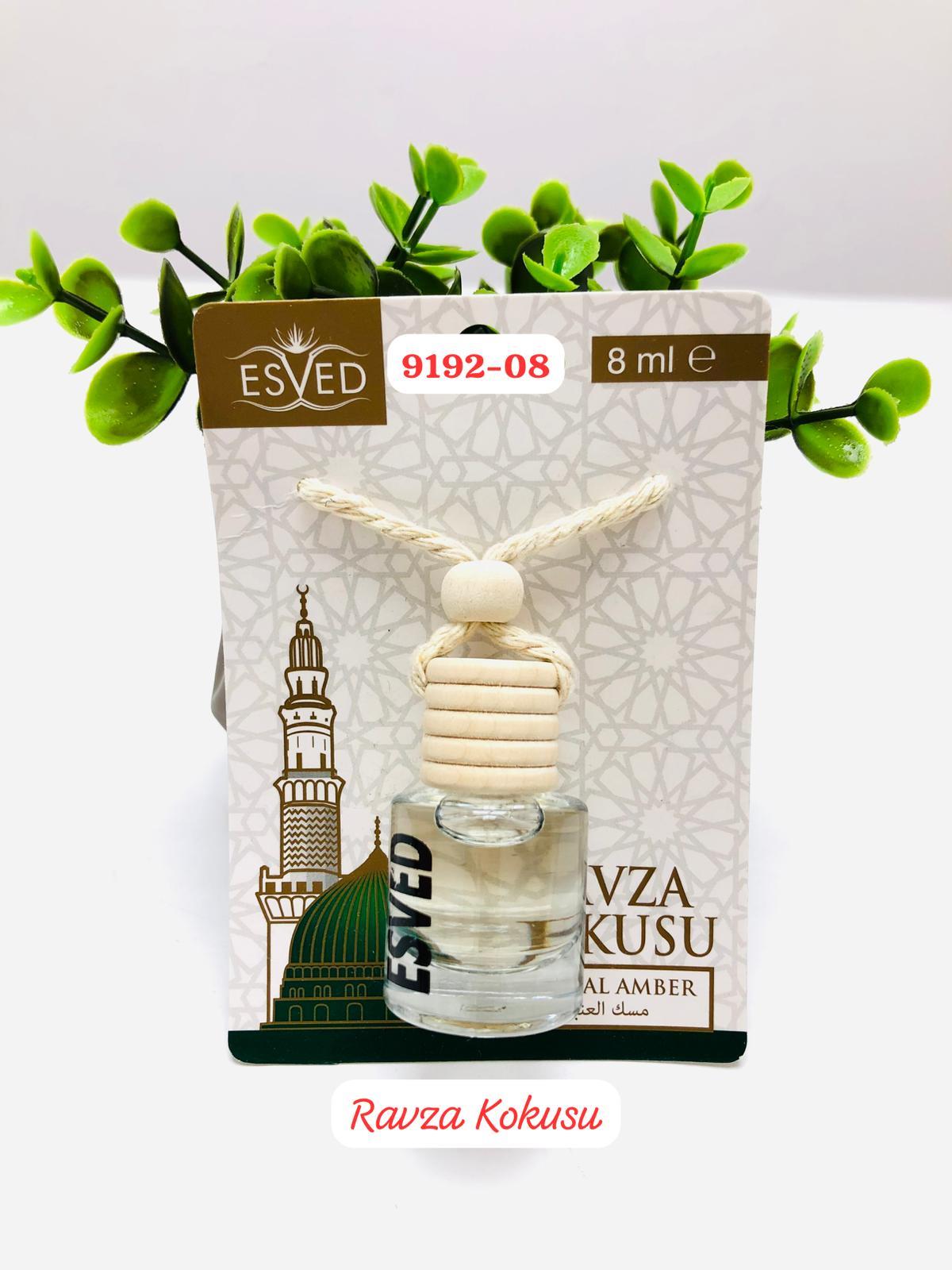 9192 Araba Kokusu