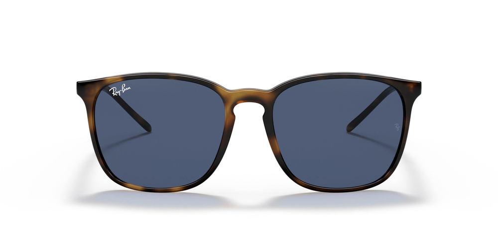 RAY-BAN RB 4387 710/80 56-18 Unisex Güneş Gözlüğü