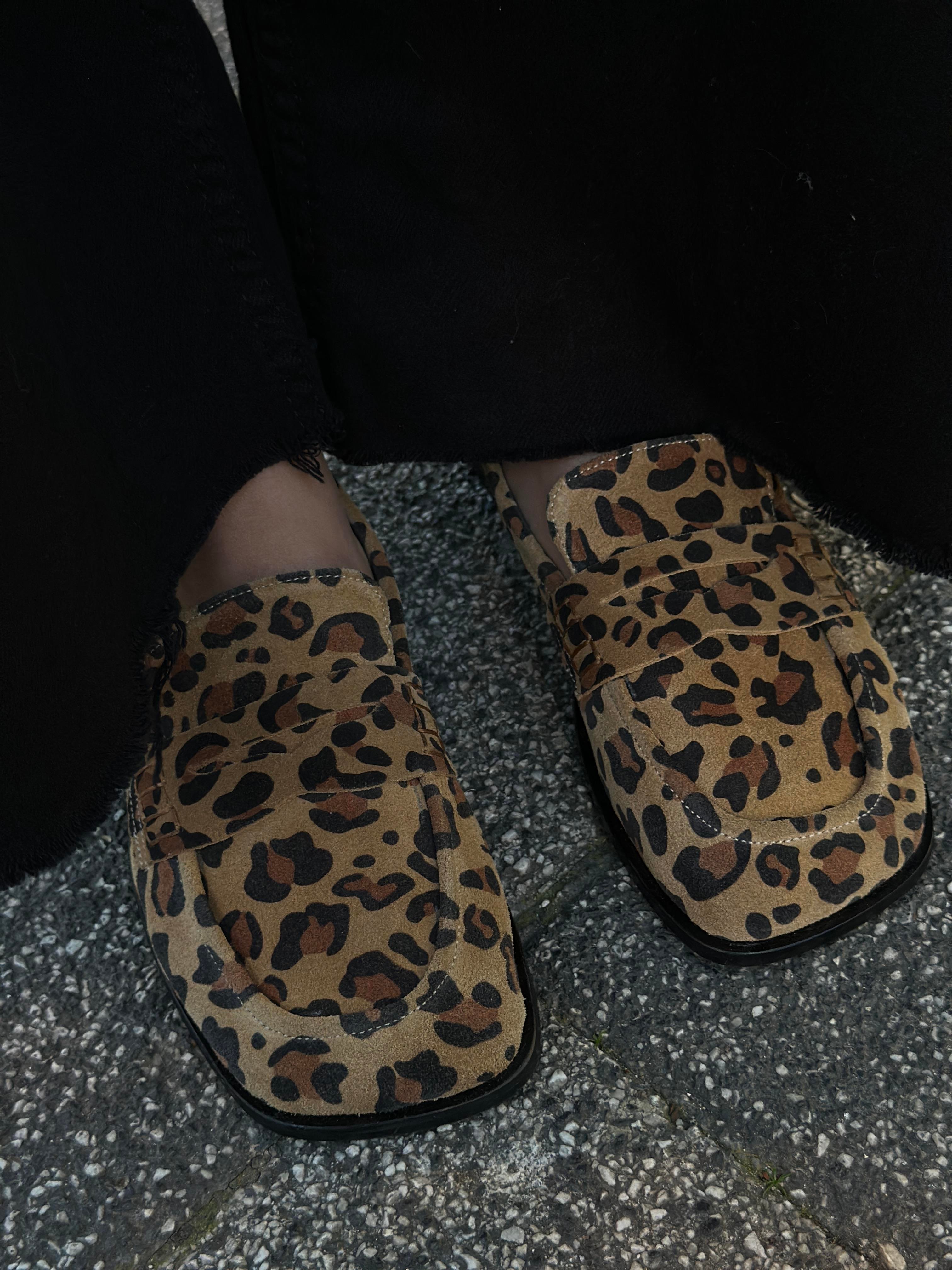 Leopar sin