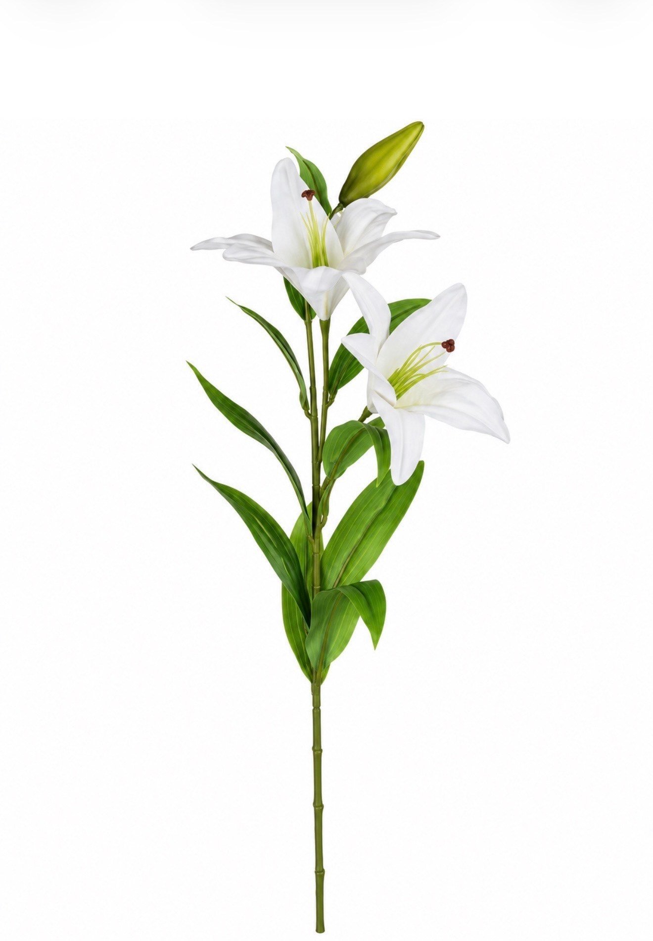 Islak Dokulu Lilyum 96cm