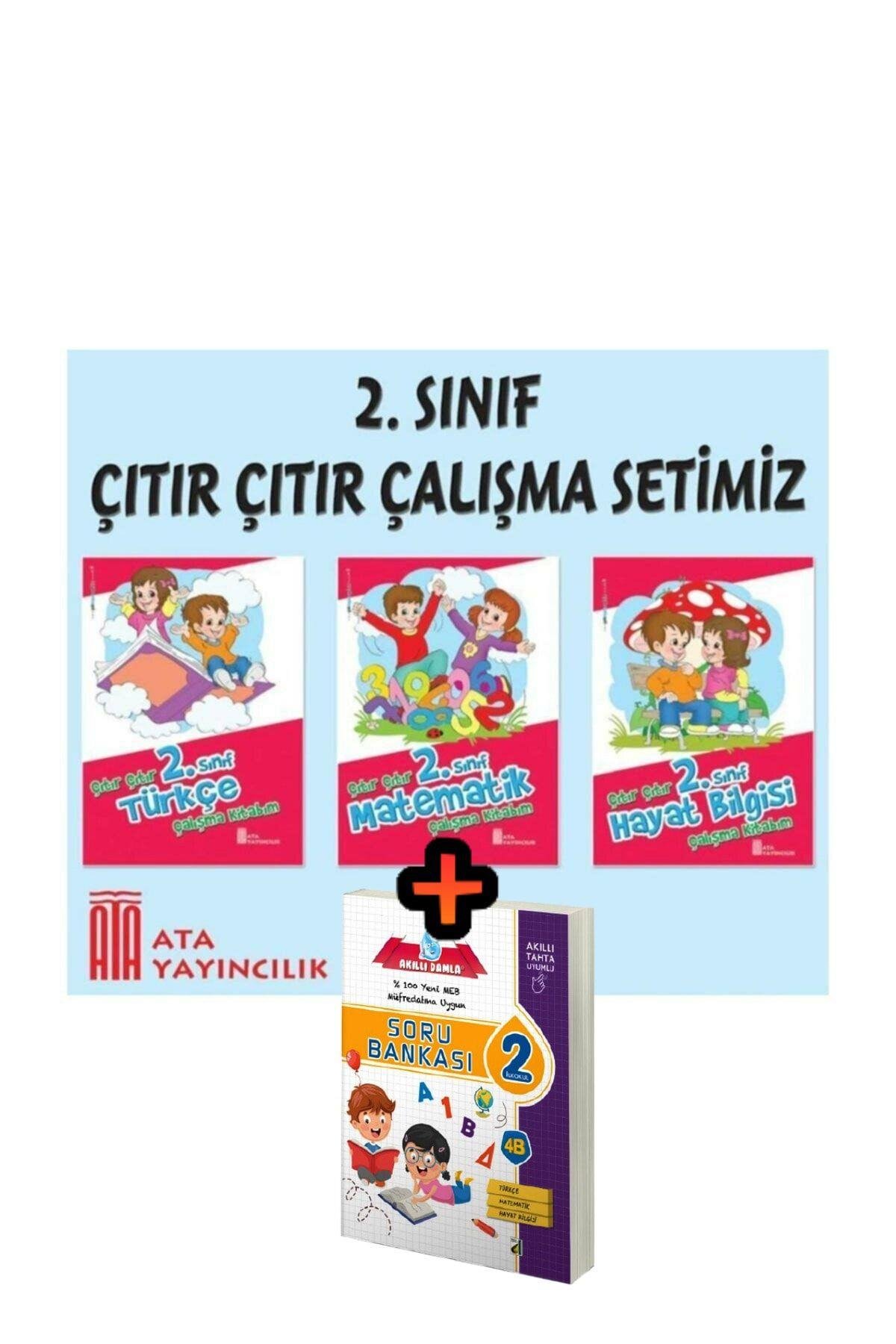 2.sınıf Çıtır Çıtır Çalışma Yaprakları Seti 3 Kitap Tüm Dersler - Yayıncılık