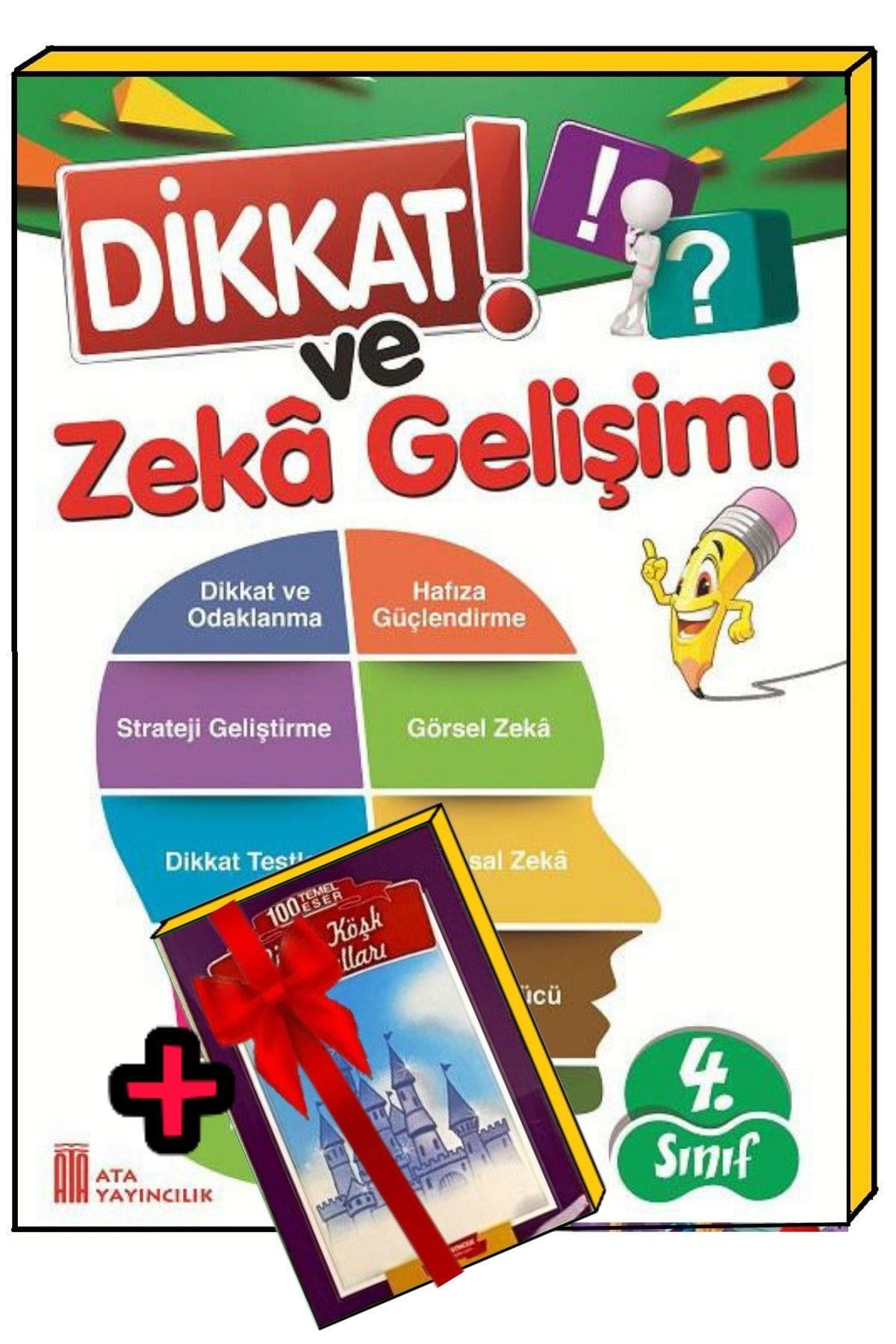 4. Sınıf Dikkat Ve Zeka Gelişimi (bilsem)