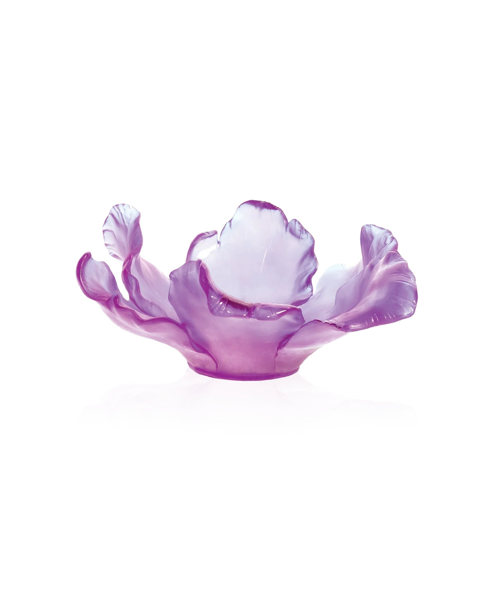 Tulipe Kase Ultraviolet Large