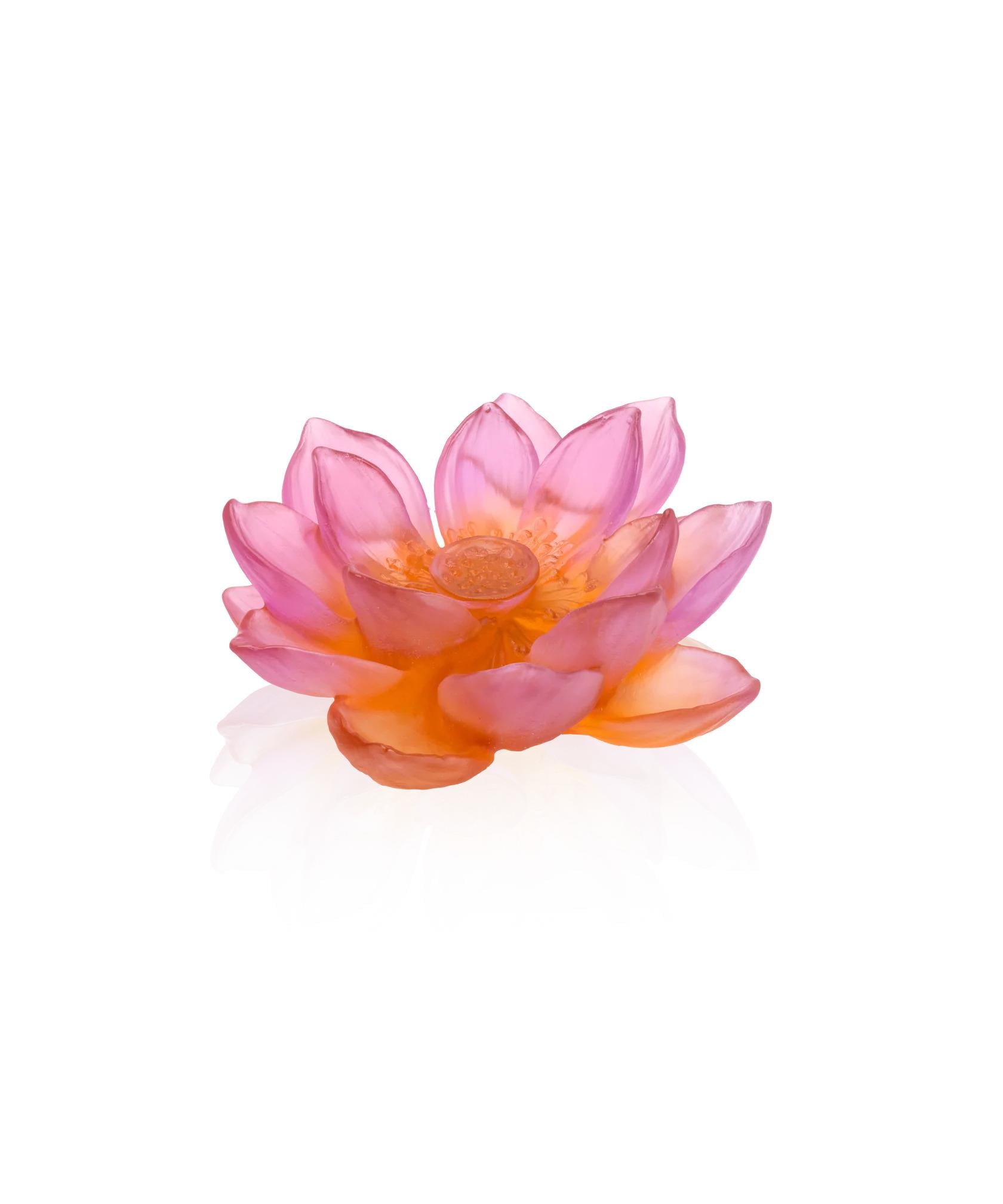 Jardin de Lotus Pembe Dekoratif Çiçek