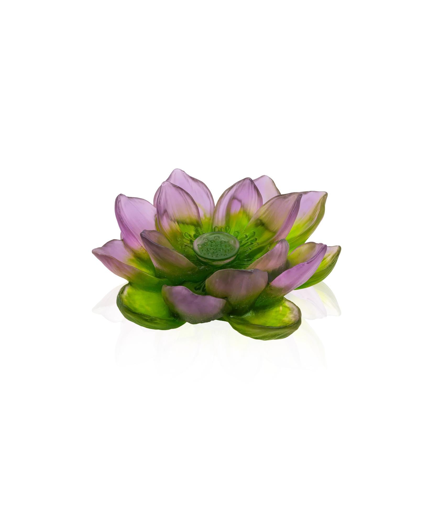 Jardin de Lotus Yeşil Dekoratif Çiçek