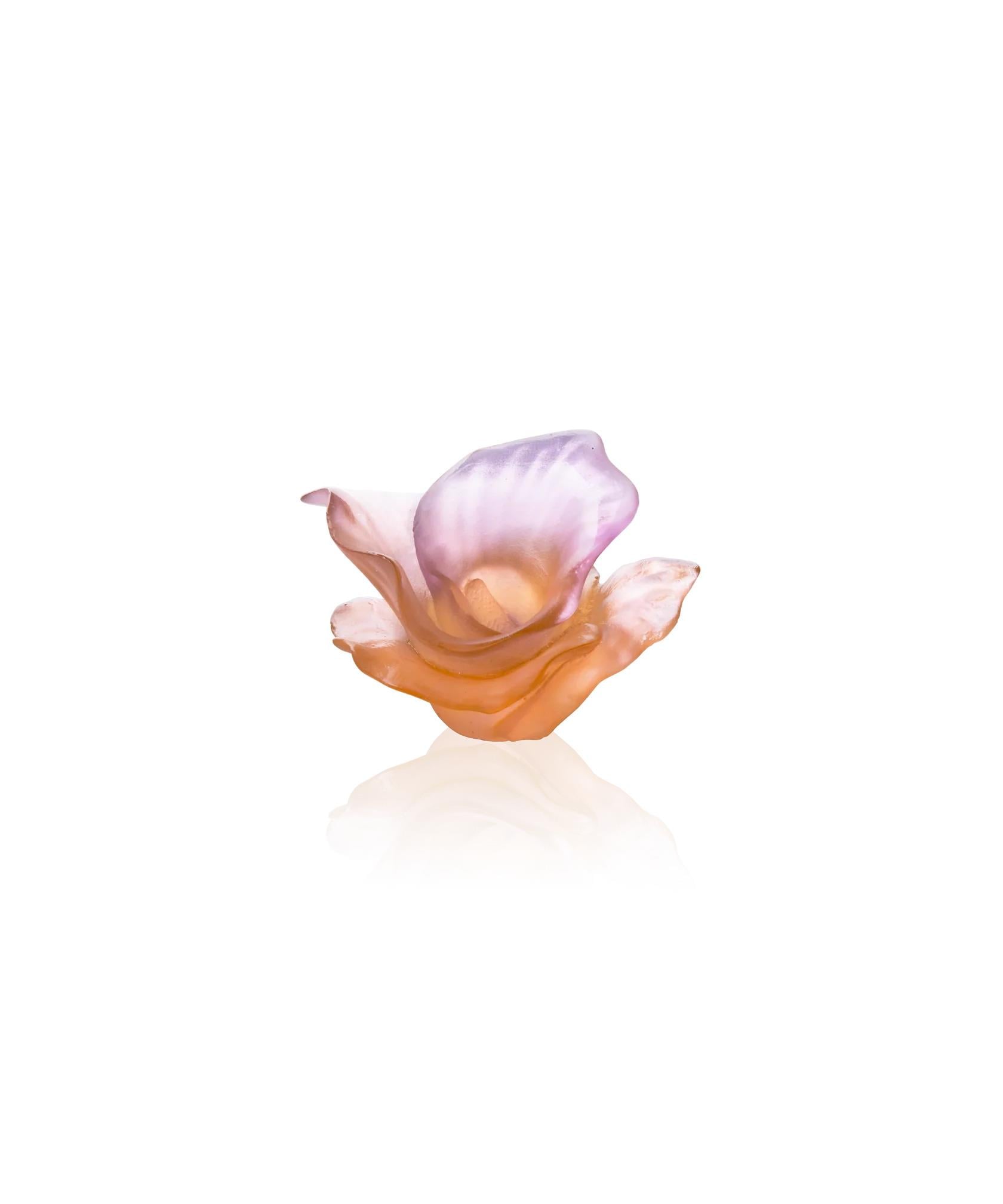 Arum Rose Dekoratif Çiçek