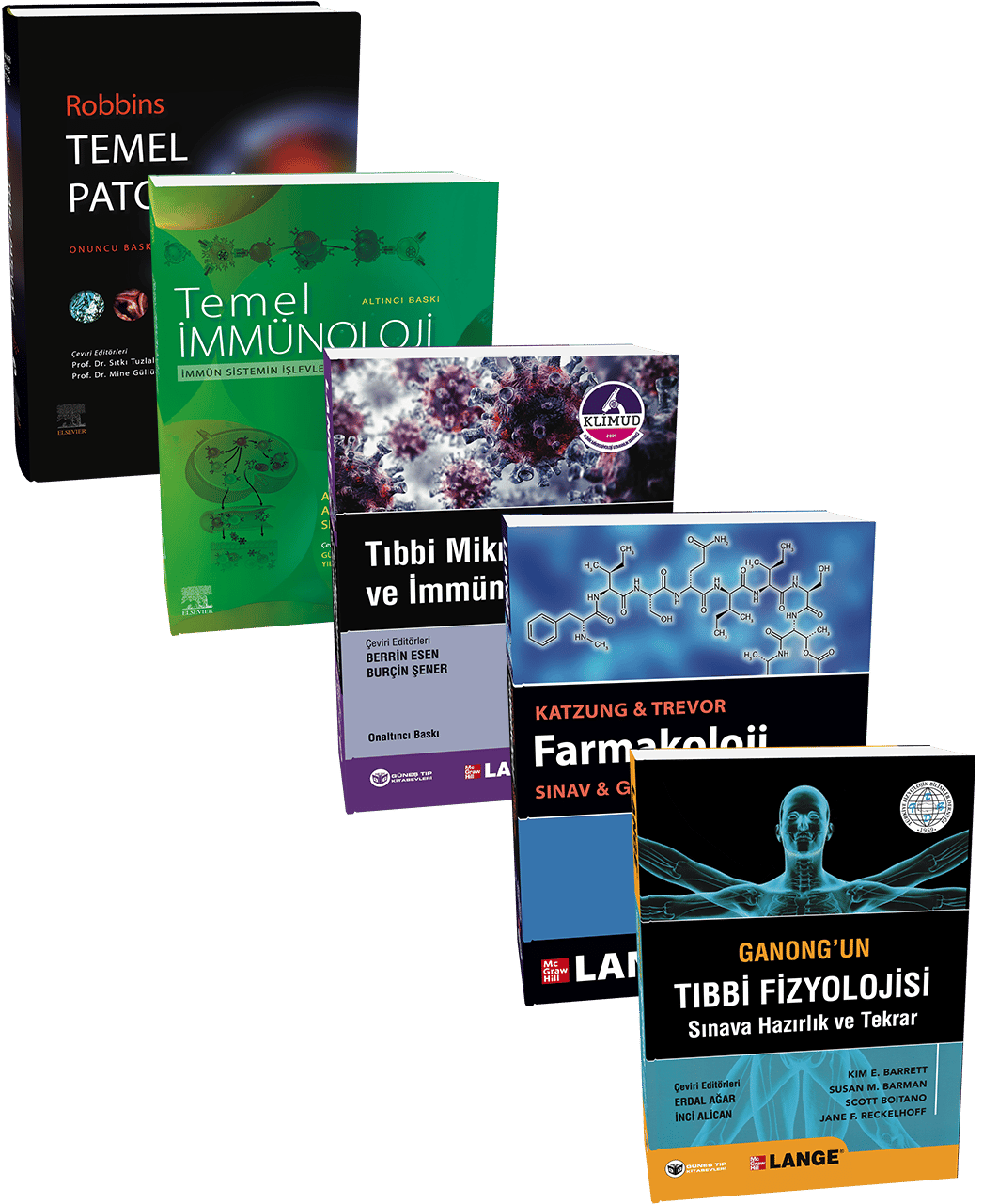 3.sınıf