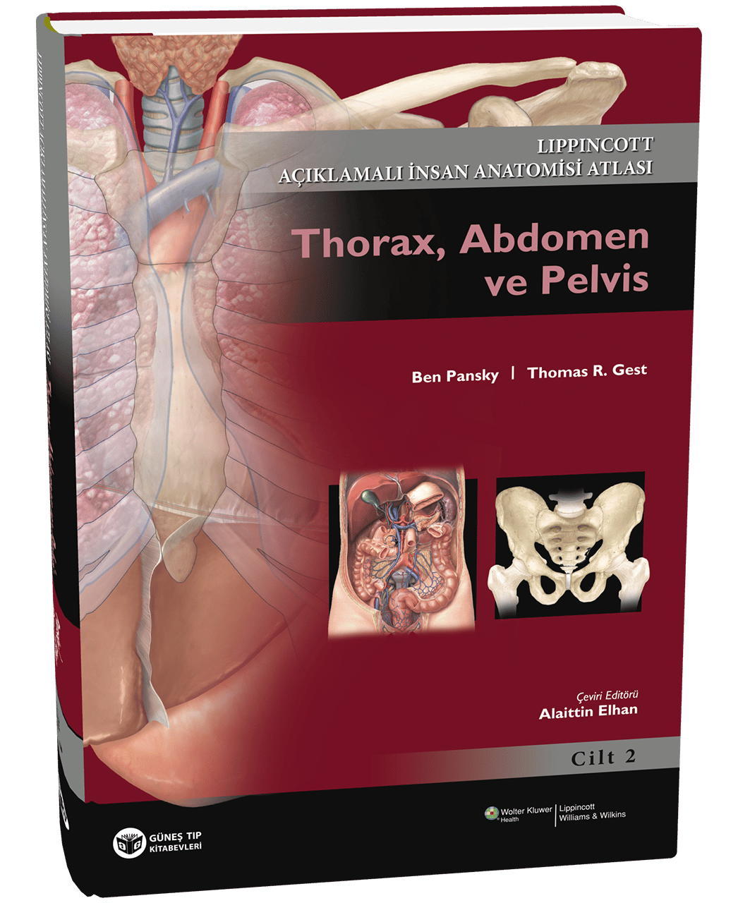 Açıklamalı İnsan Anatomisi Atlası-2