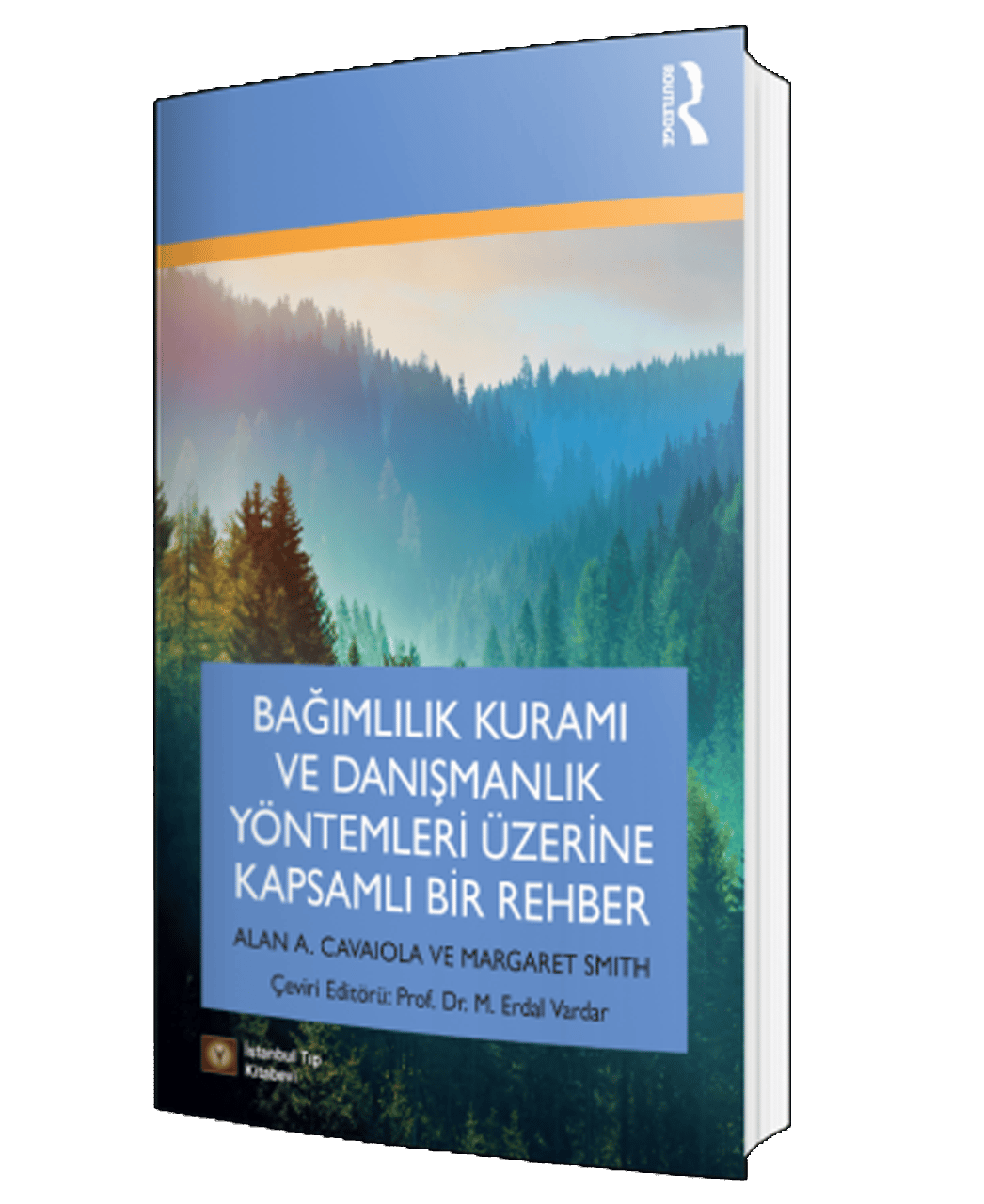 Bağımlılık Kuramı ve Danışmanlık Yöntemleri Üzerine Kapsamlı Bir Rehber