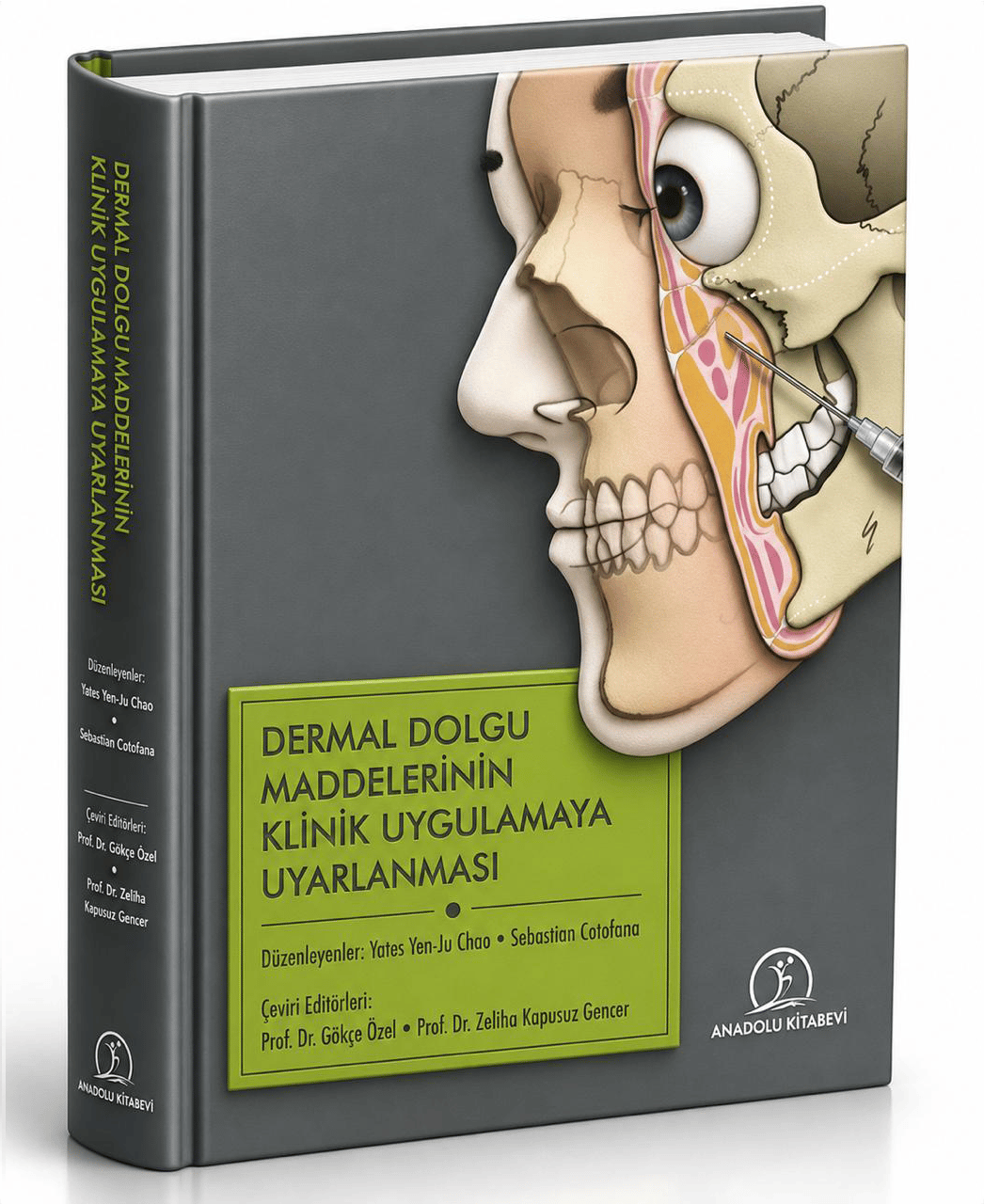 Dermal Dolgu Maddelerinin Klinik Uygulamaya Uyarlanması