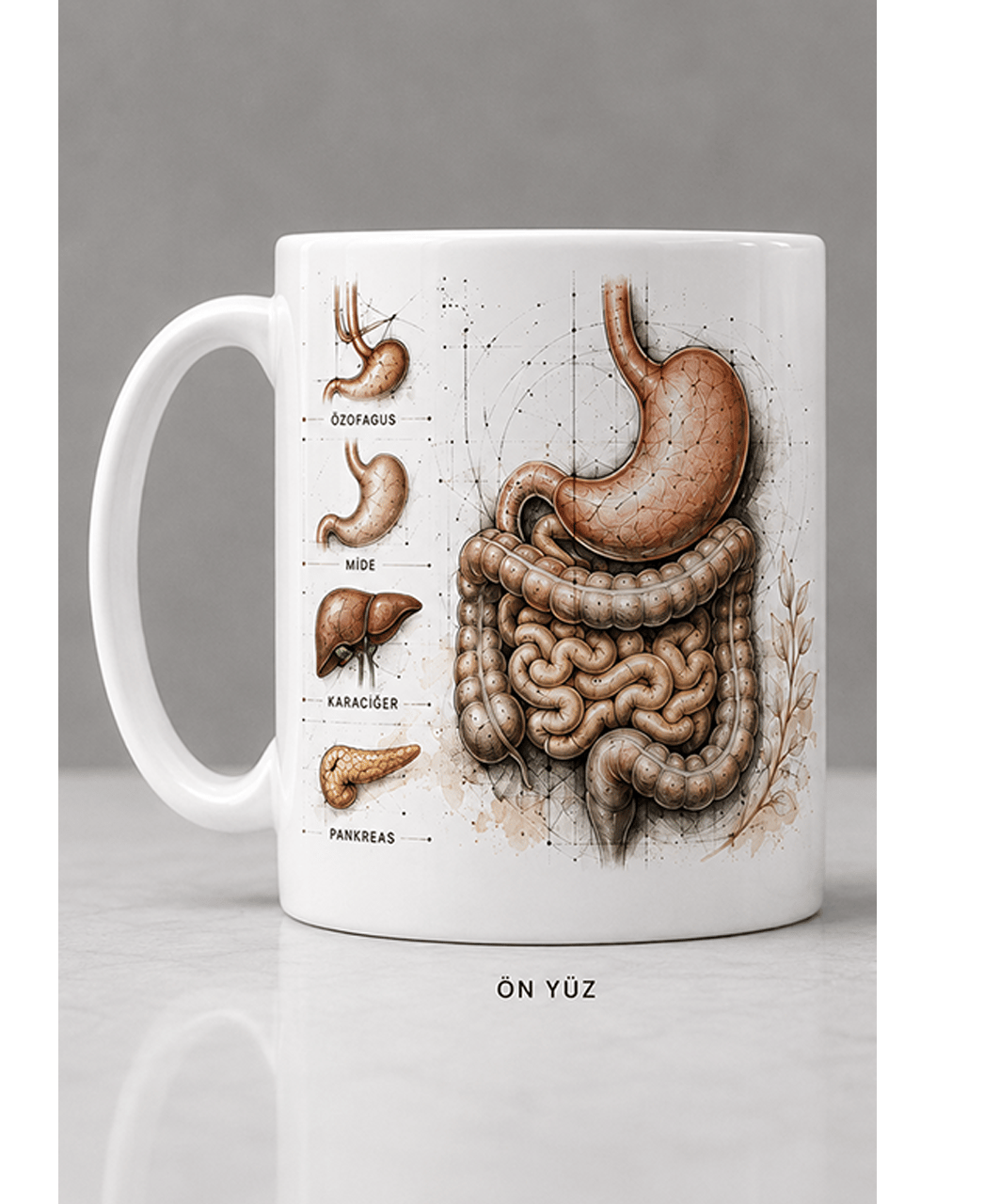 GASTROLOJİ UZMANI KUPASI (İsme Özel)