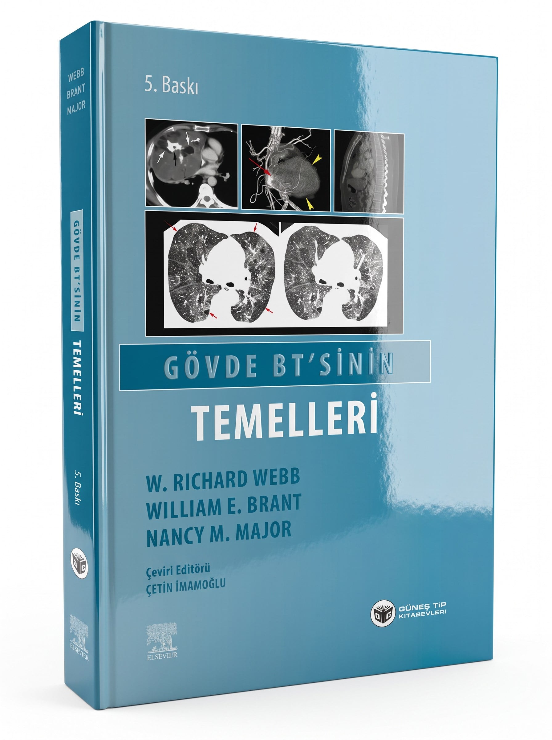 Gövde BT 'sinin Temelleri