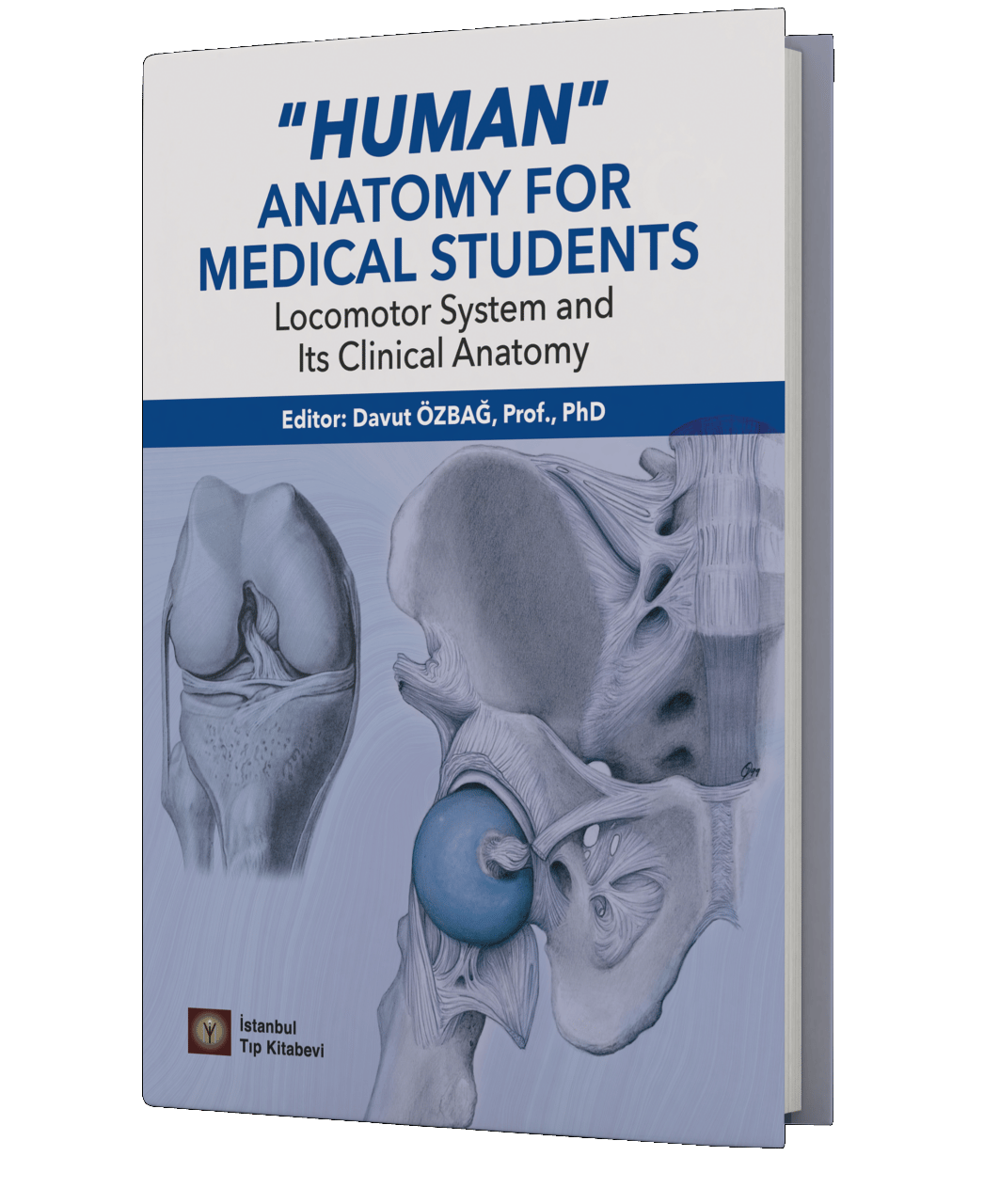 Human Anatomy For Medıcal Students Locomotor System And Its Clınıcal Anatomy