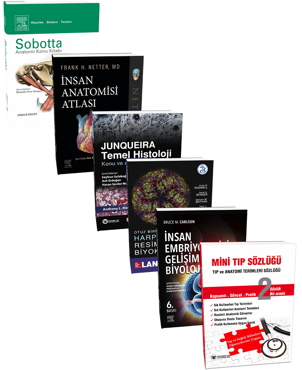 Kapsamlı Temel Bilimler Seti