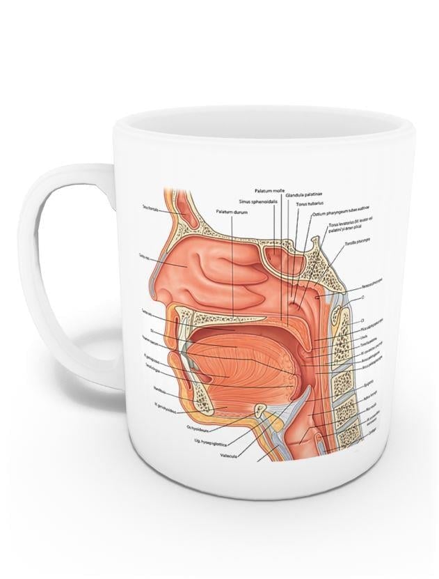 KBB Kupası (İsme Özel)