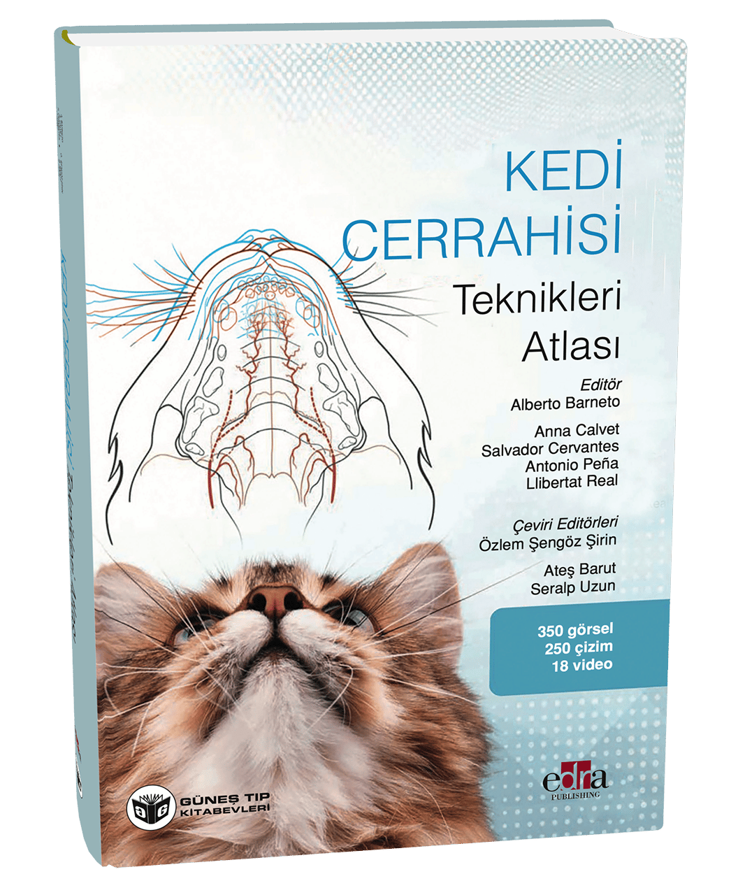 Kedi Cerrahisi Teknikleri Atlası ve QR Videolar