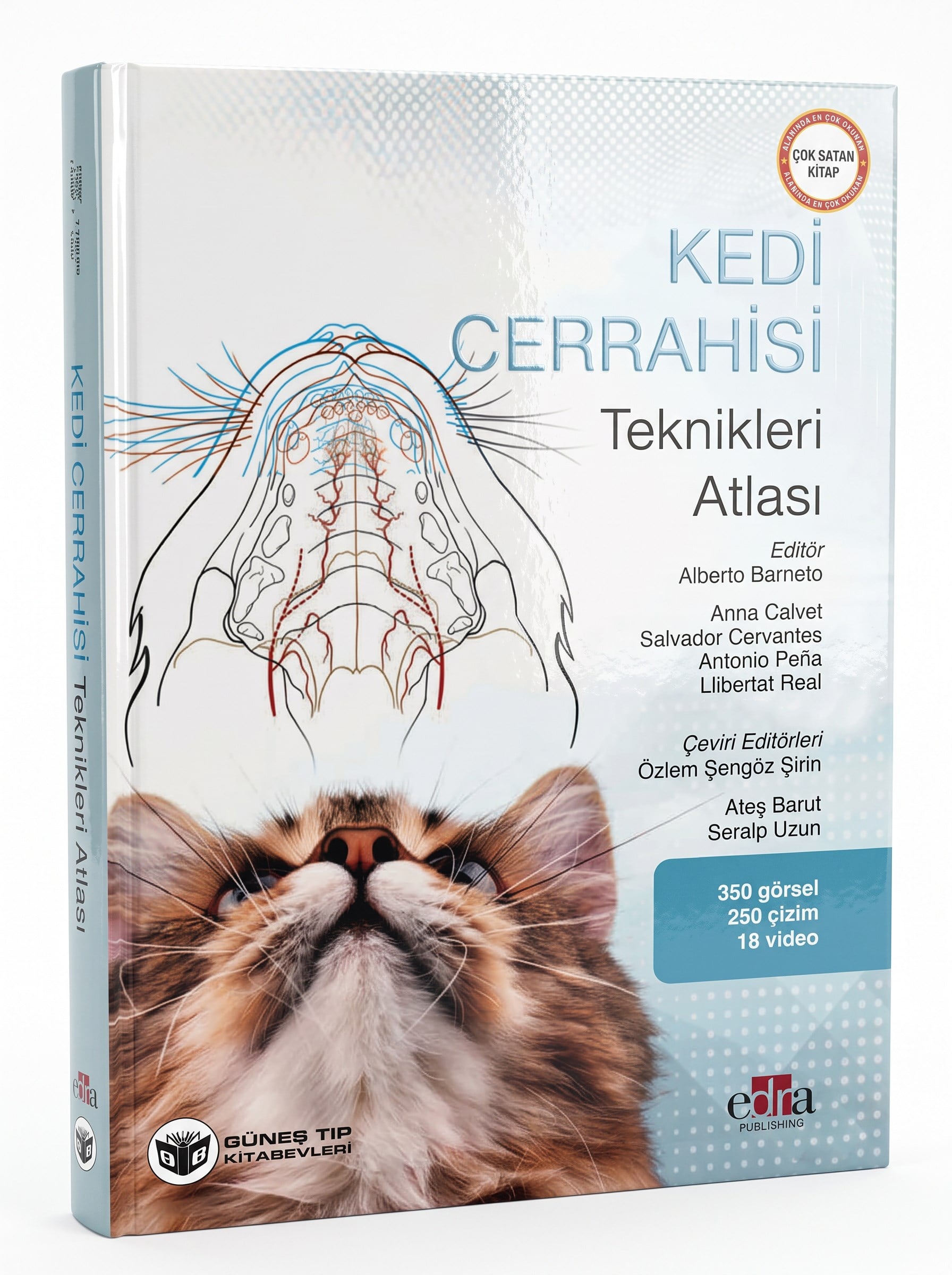 Kedi Cerrahisi Teknikleri Atlası ve QR Videolar