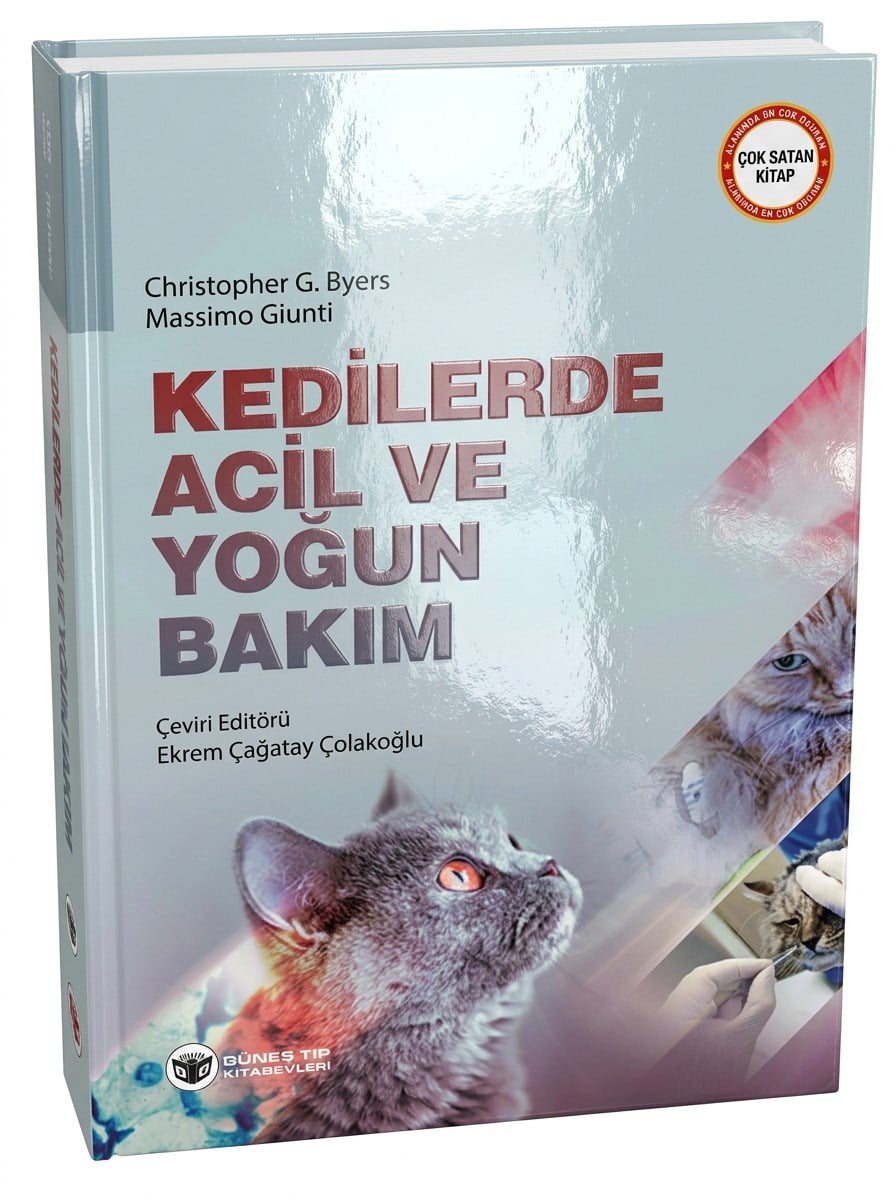 Kedilerde Acil ve Yoğun Bakım