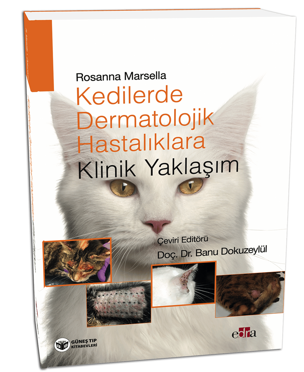 Kedilerde Dermatolojik Hastalıklara Klinik Yaklaşım