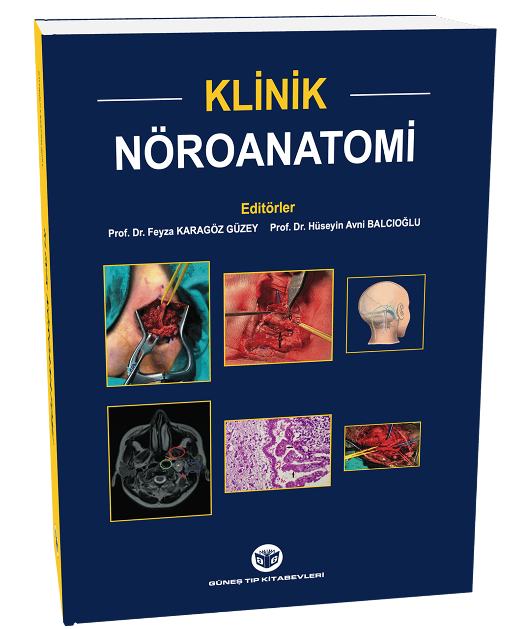 Klinik Nöroanatomi