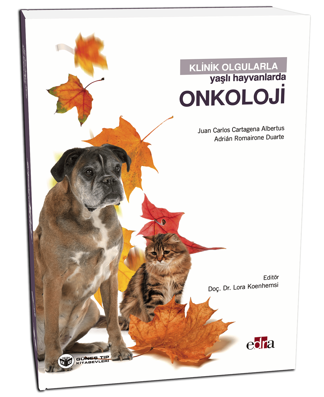 Klinik Olgularla Yaşlı Hayvanlarda Onkoloji