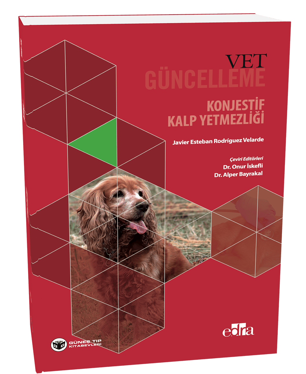 Konjestif Kalp Yetmezliği