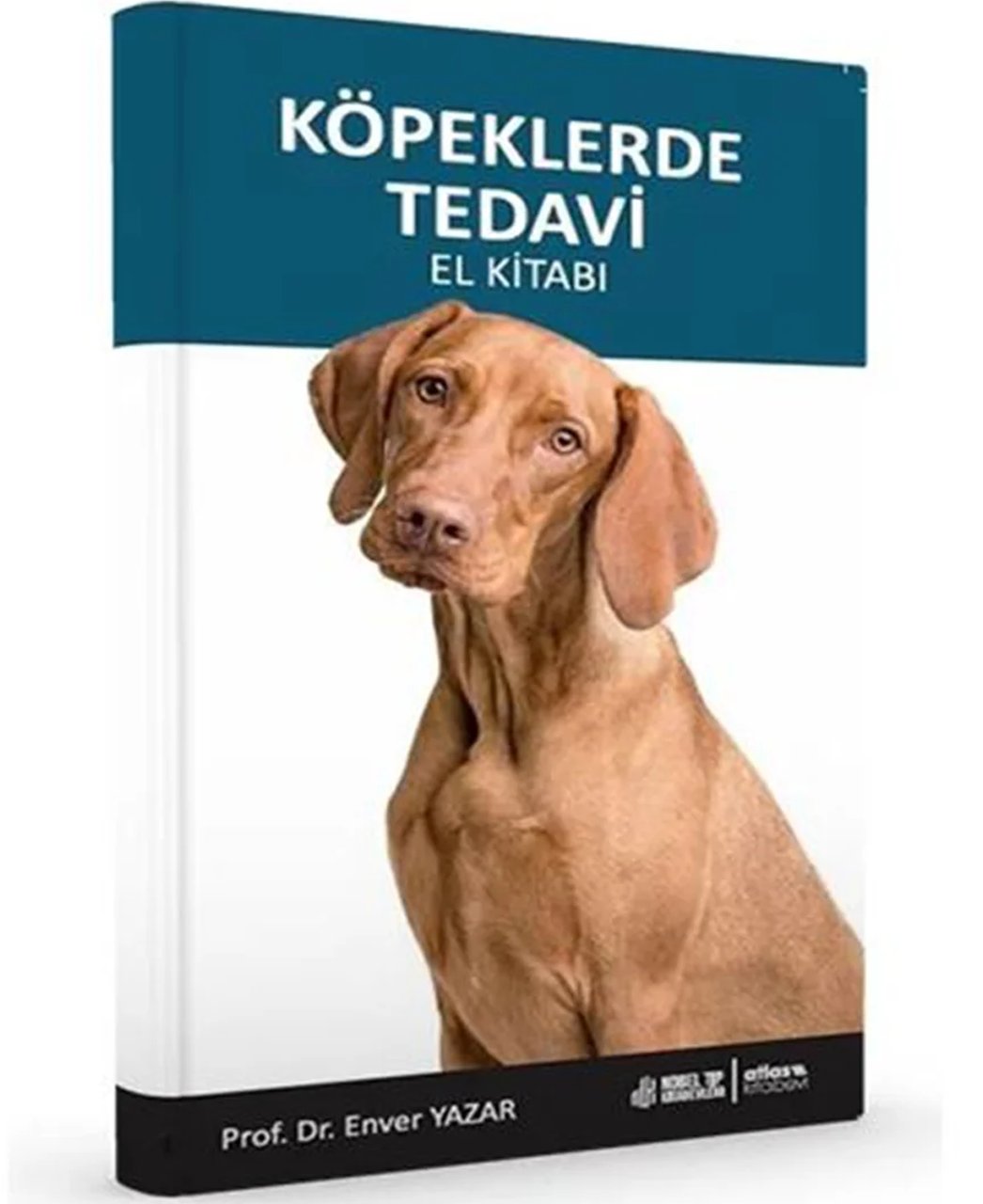 Köpeklerde Tedavi El Kitabı