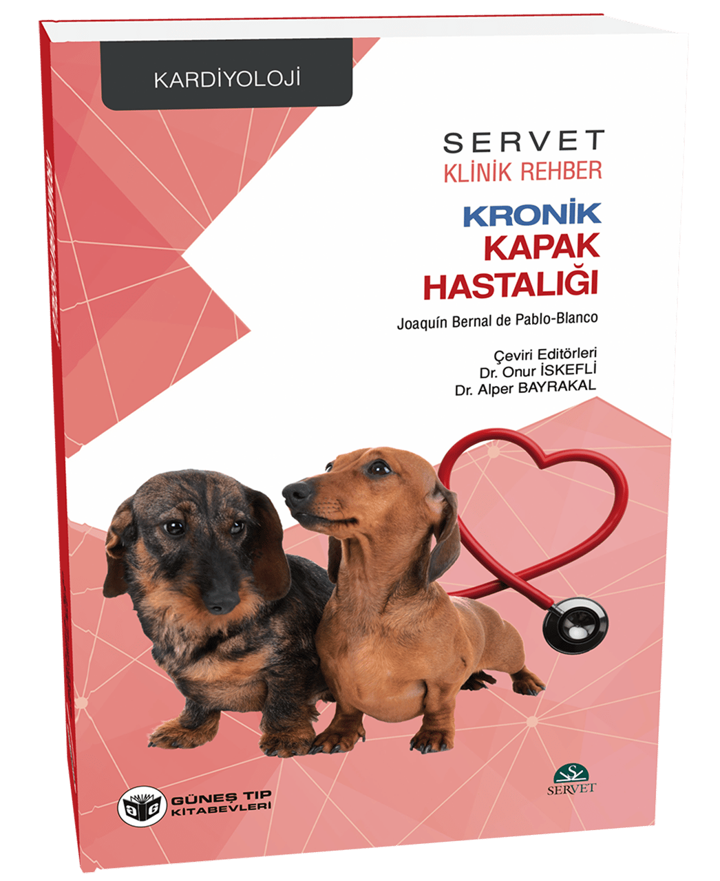 Kronik Kapak Hastalığı