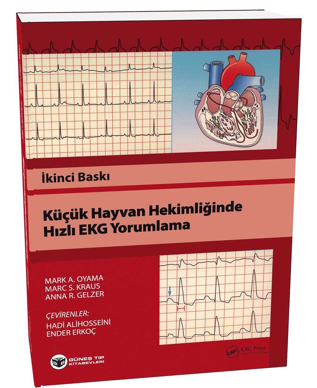 Küçük Hayvan Hekimliğinde Hızlı EKG Yorumlama