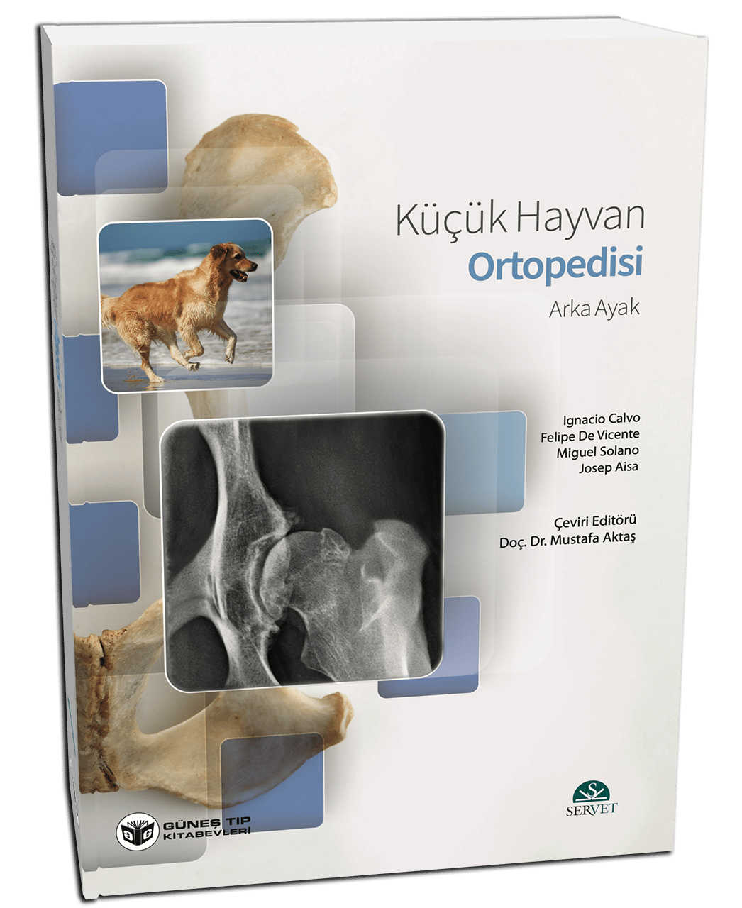 Küçük Hayvan Ortopedisi Arka Ayak