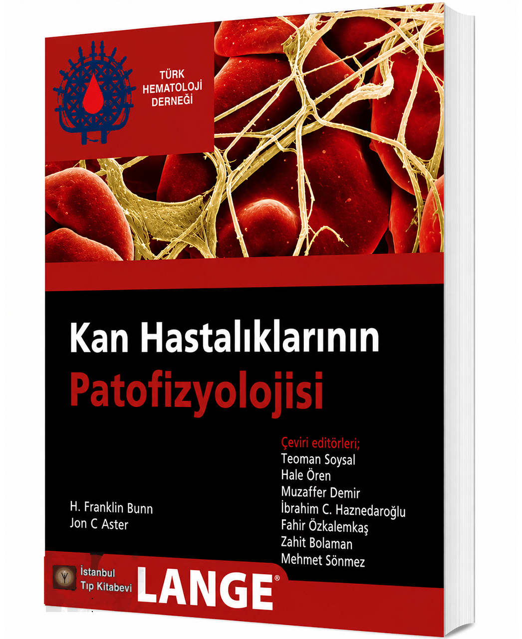 Lange Kan Hastalıklarının Patofizyolojisi