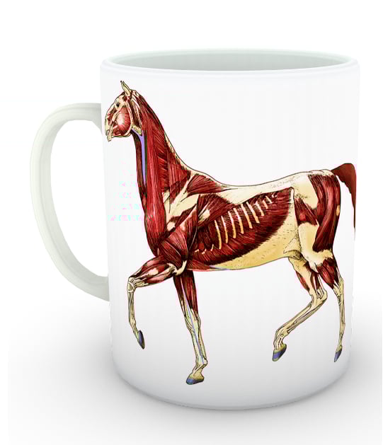 Love Veterinary At İskelet Kupa (İsme Özel)