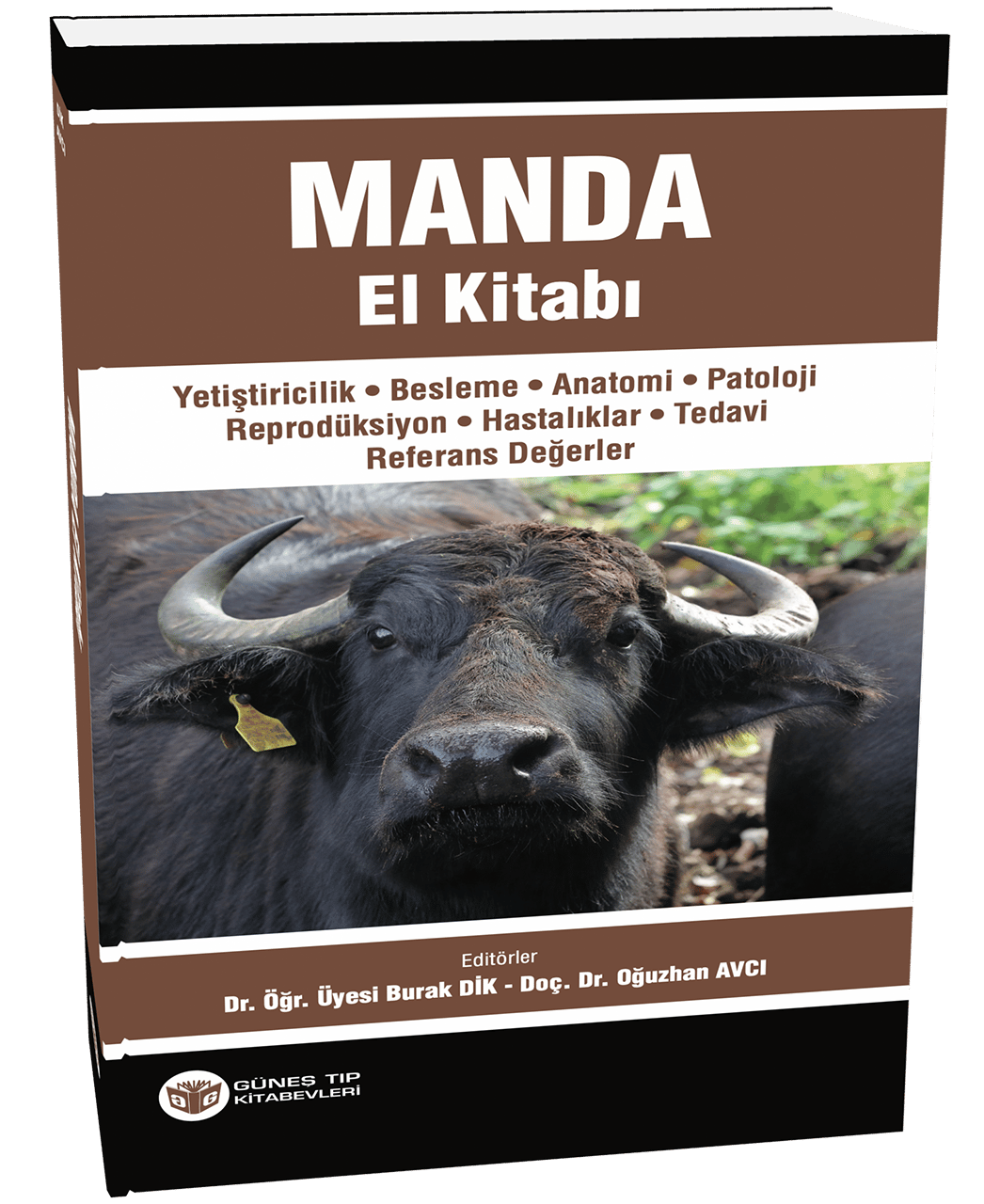 Manda El Kitabı