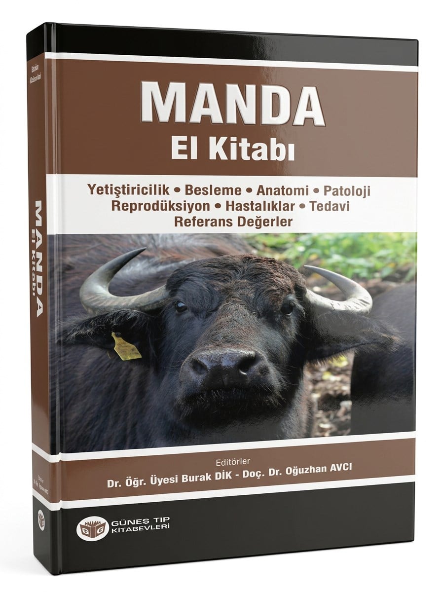Manda El Kitabı