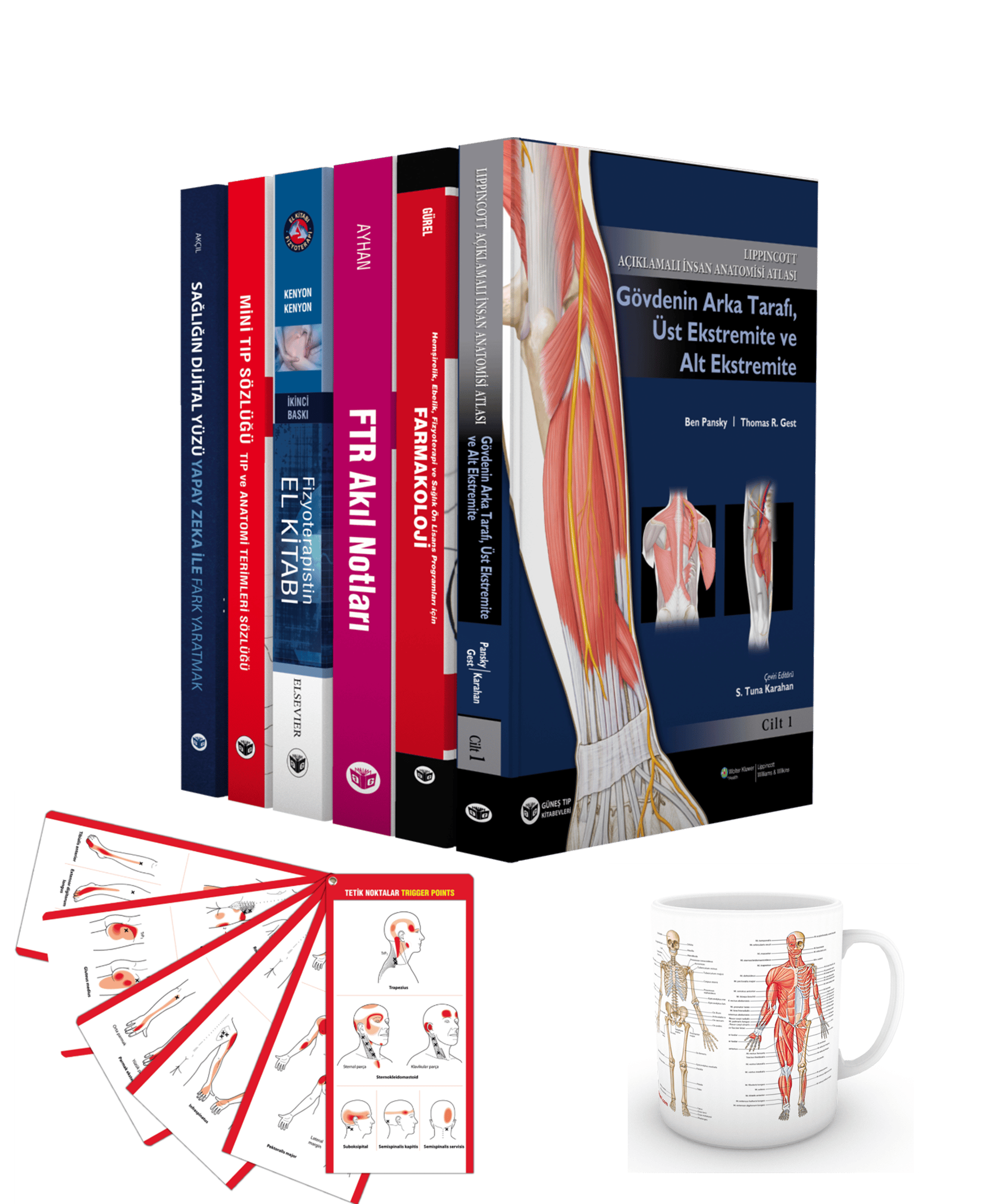 Muhteşem Fizyoterapi Seti (7 ÇOK SATAN BU SETTE)