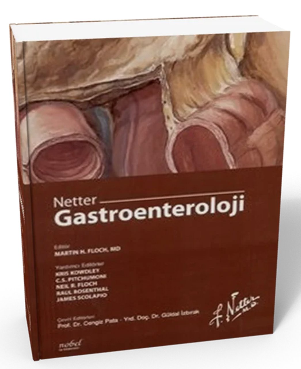 Netter Gastroenteroloji