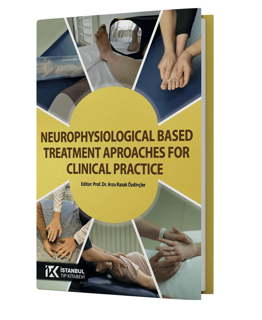Neurophysiological Based Treatment Aproaches for Clinical Practice