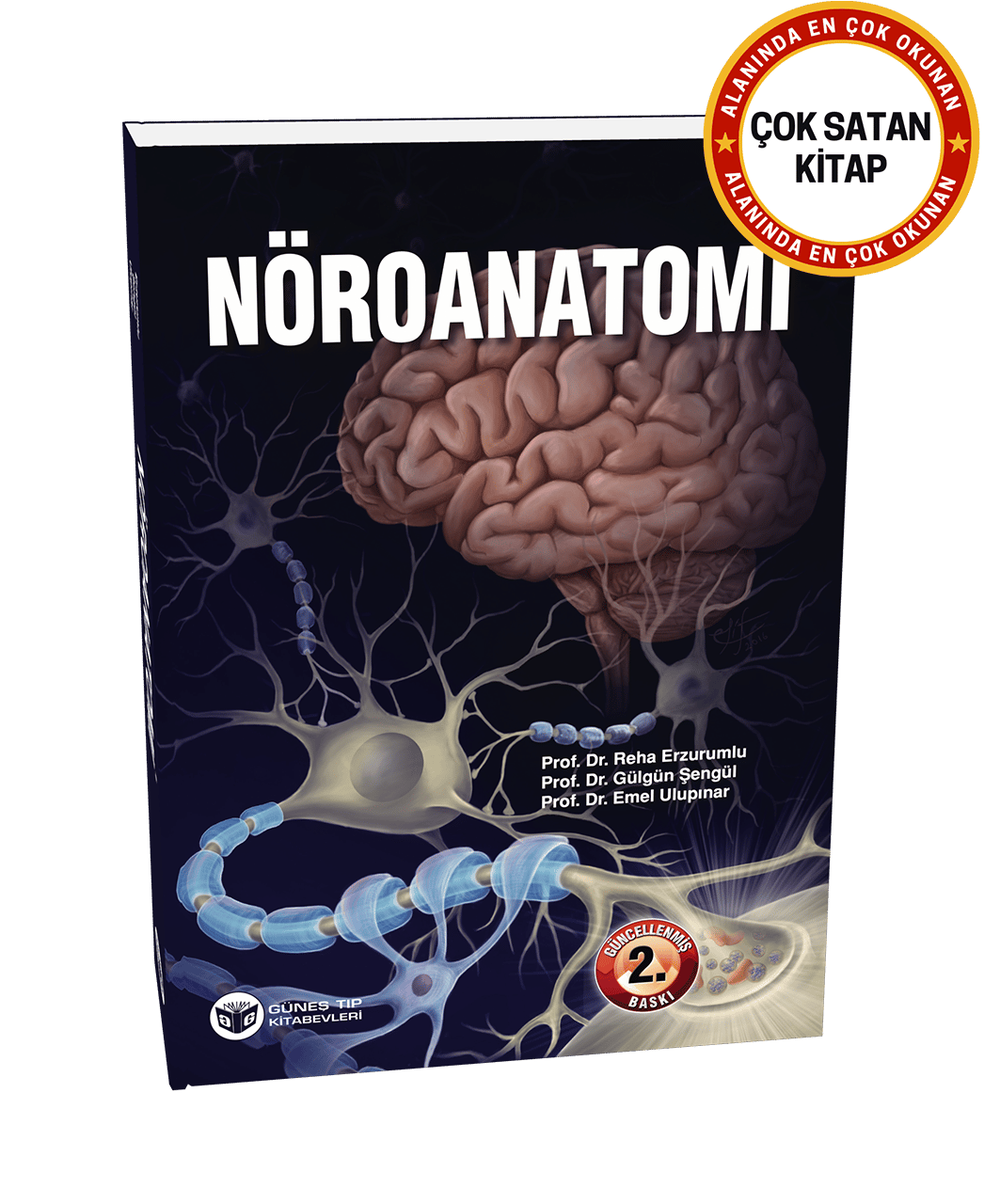 Nöroanatomi (Güncellenmiş 2. Baskı)