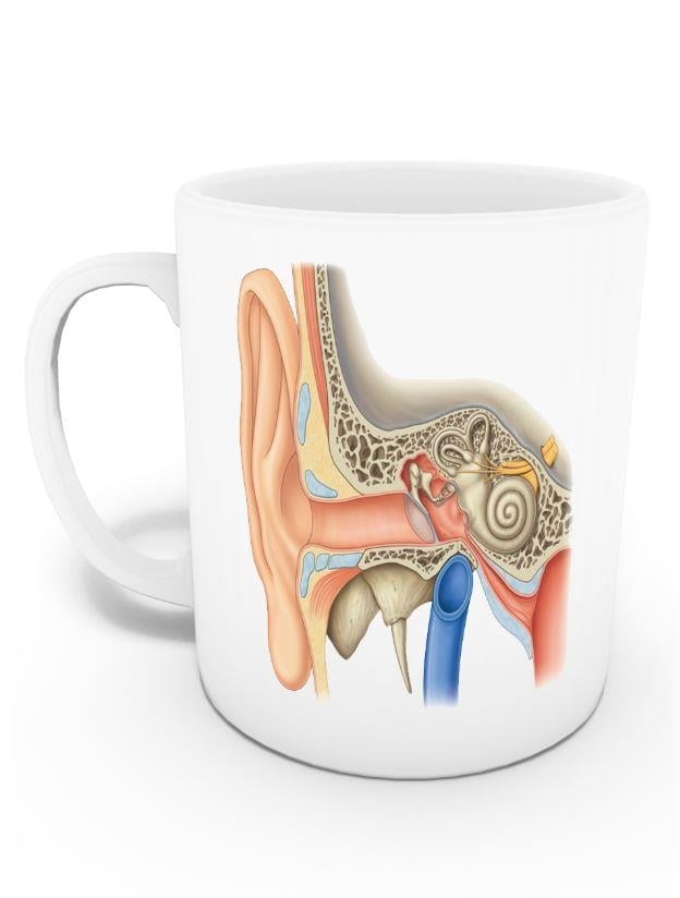 Odyoloji Kupası (İsme Özel)