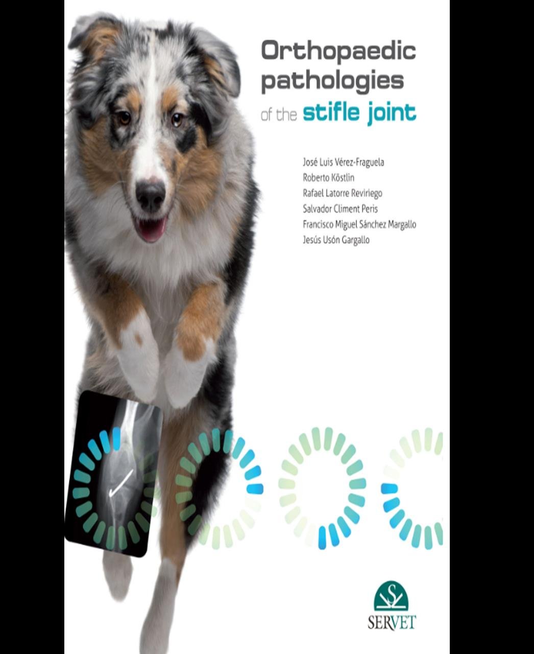 Orthopaedic pathologies of the stifle joint