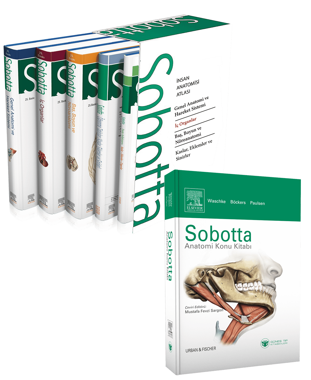 Sobotta Anatomi Atlası 4 Cilt Set (13. En Son Türkçe Baskı) + Sobotta Konu Kitabı