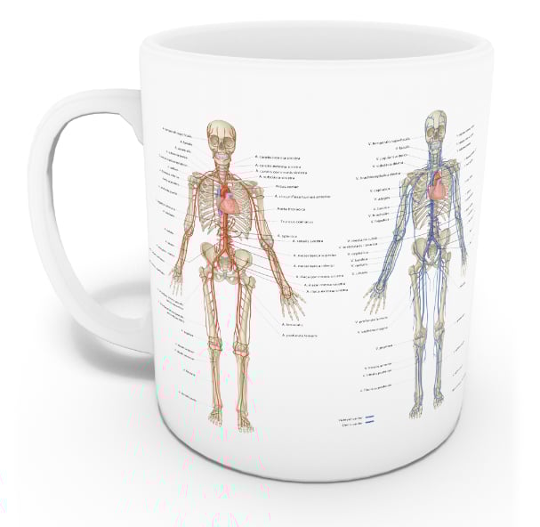 Vasküler Sistem Kupası (İsme Özel)