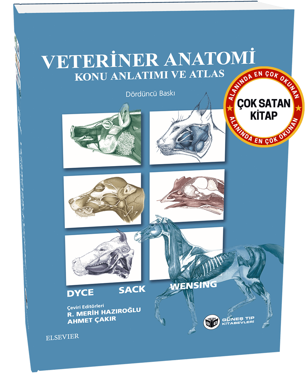 Veteriner Anatomi Konu Anlatımı ve Atlas